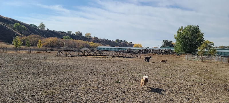Saratoga Dog Park dog park in Medicine Hat, Alberta