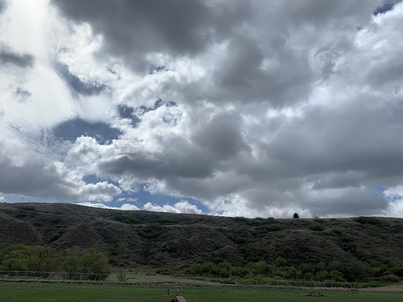 Saratoga Dog Park dog park in Medicine Hat, Alberta