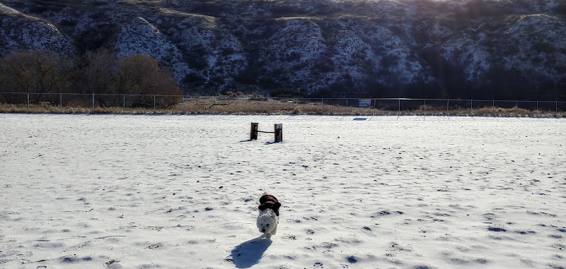 Saratoga Dog Park dog park in Medicine Hat, Alberta