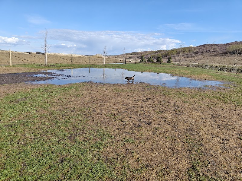 Woof Willow Off-Leash Dog Park dog park in Calgary, Alberta