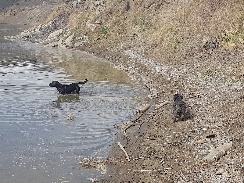 Peenaquim Park dog park in Lethbridge, Alberta