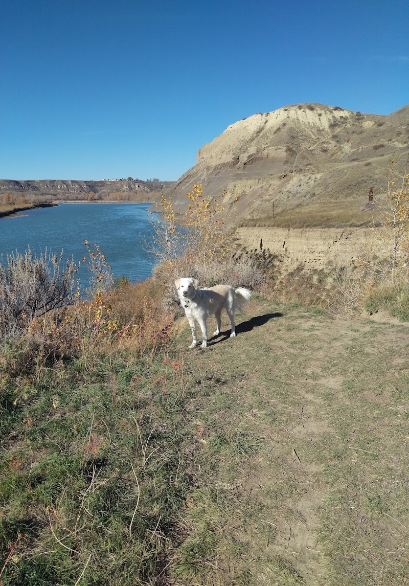 Peenaquim Park dog park in Lethbridge, Alberta