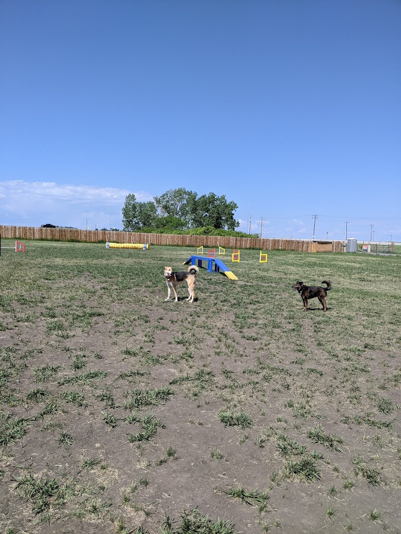 MyWalkies dog park in De Winton, Alberta