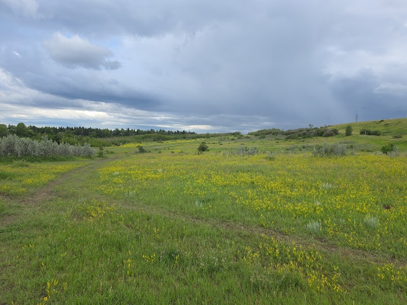 Edworthy Off Leash Dog Park dog park in Calgary, Alberta