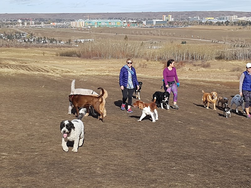 Edworthy Off Leash Dog Park dog park in Calgary, Alberta