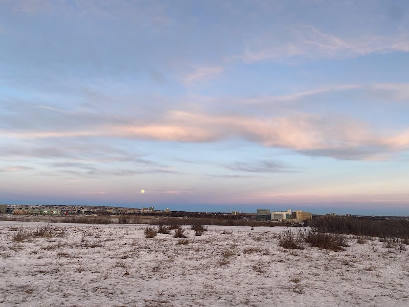Edworthy Off Leash Dog Park dog park in Calgary, Alberta