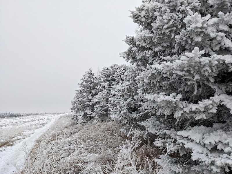 Edgemont Area 3 Off Leash Dog Park dog park in Calgary, Alberta