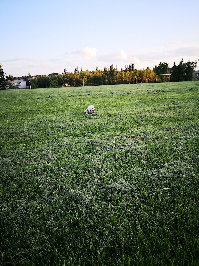 Beddington Area 4 Off Leash Dog Park dog park in Calgary, Alberta
