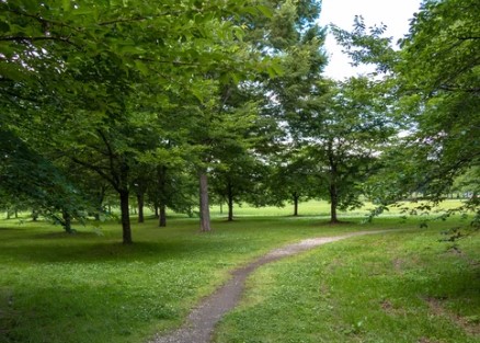 Beddington Area 4 Off Leash Dog Park dog park in Calgary, Alberta