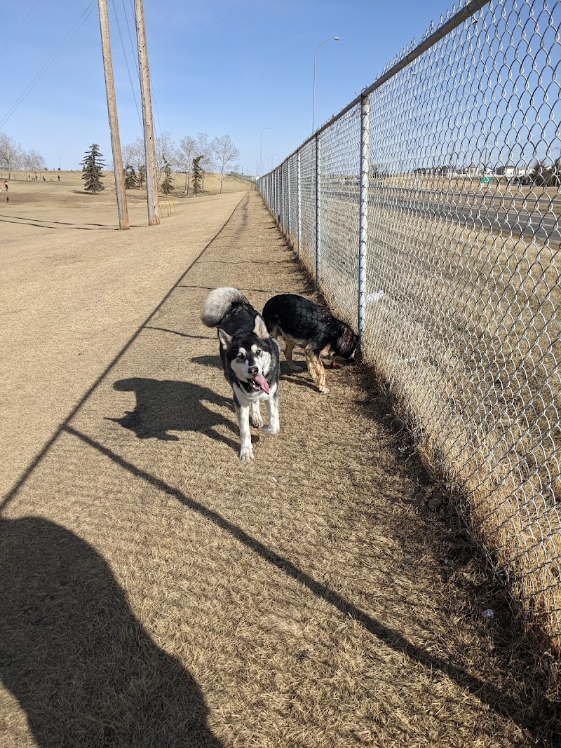 Mcknight/Falconridge Dog Park dog park in Calgary, Alberta