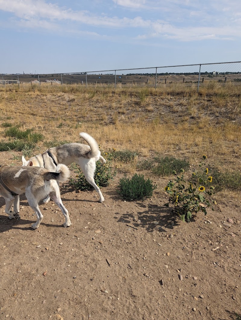 Westvue Dog Park dog park in Medicine Hat, Alberta