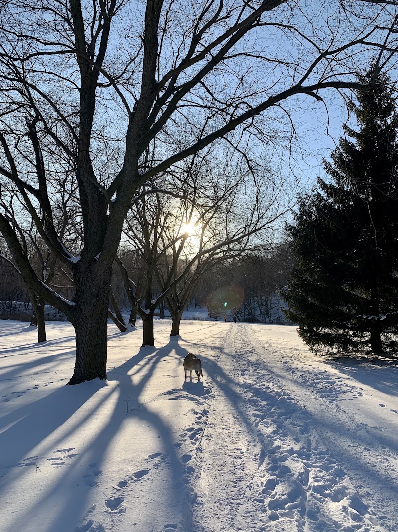 Sunnybrook Dog Park dog park in Toronto, Ontario
