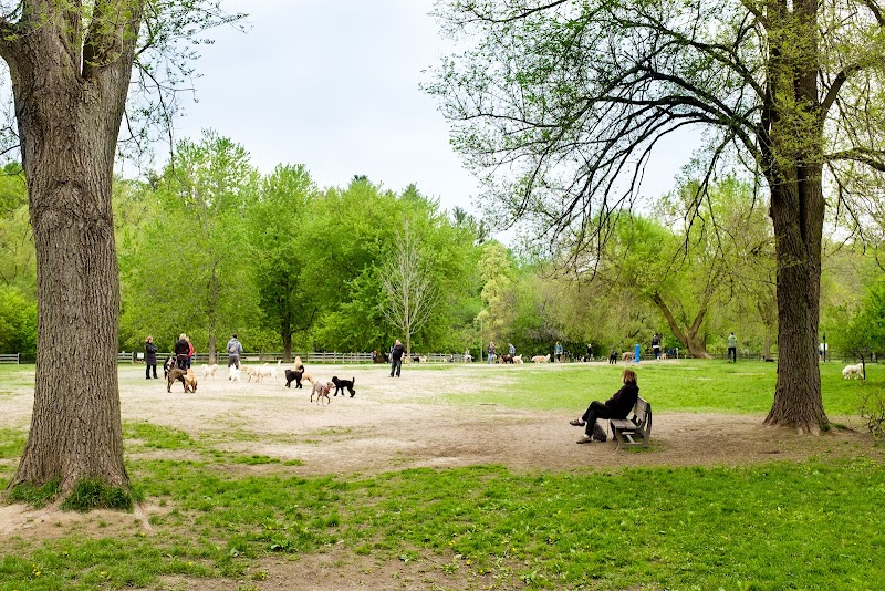 Sunnybrook Dog Park dog park in Toronto, Ontario