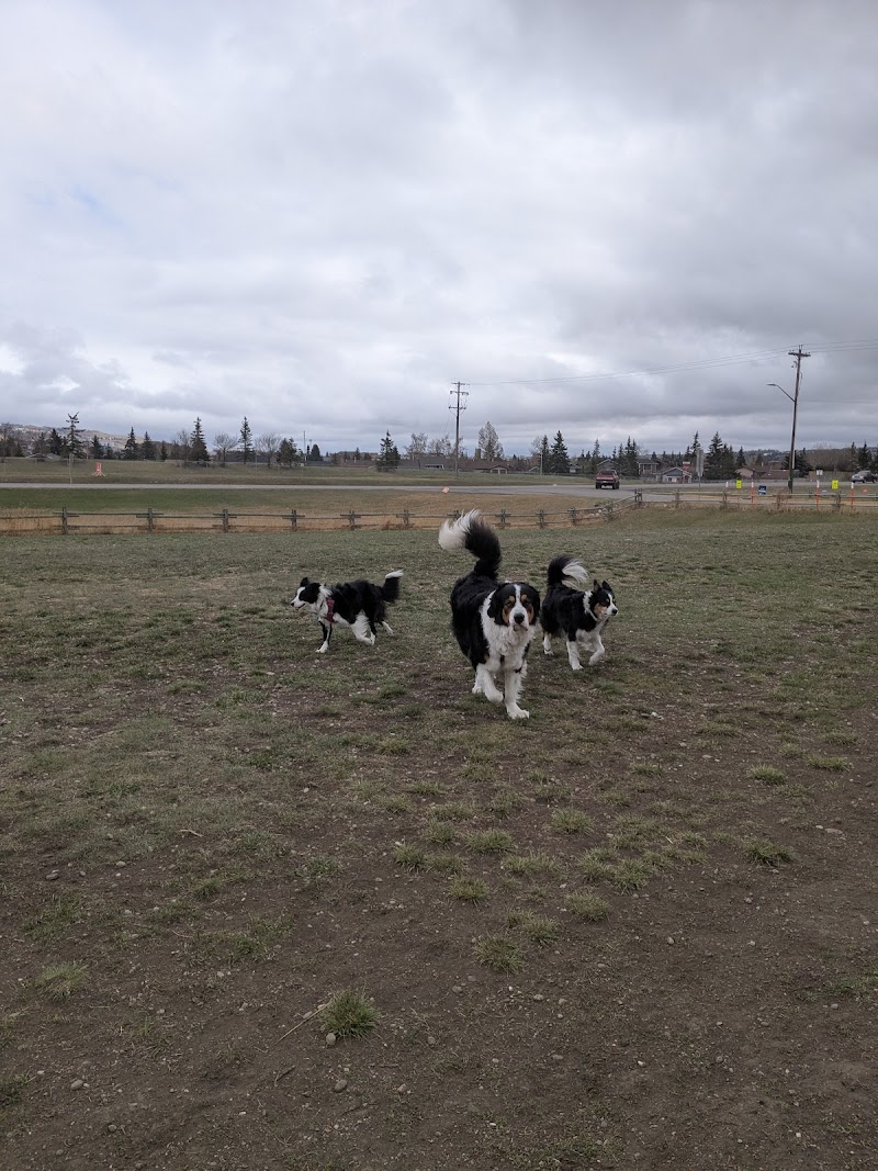Cochrane Dog Park dog park in Cochrane, Alberta