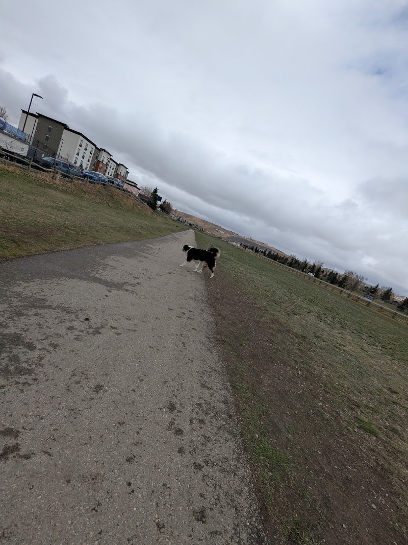 Cochrane Dog Park dog park in Cochrane, Alberta
