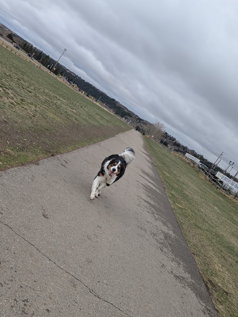 Cochrane Dog Park dog park in Cochrane, Alberta