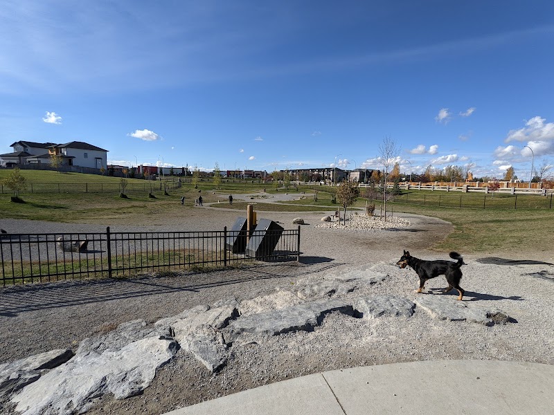 RiverStone Dog Park dog park in Lethbridge, Alberta