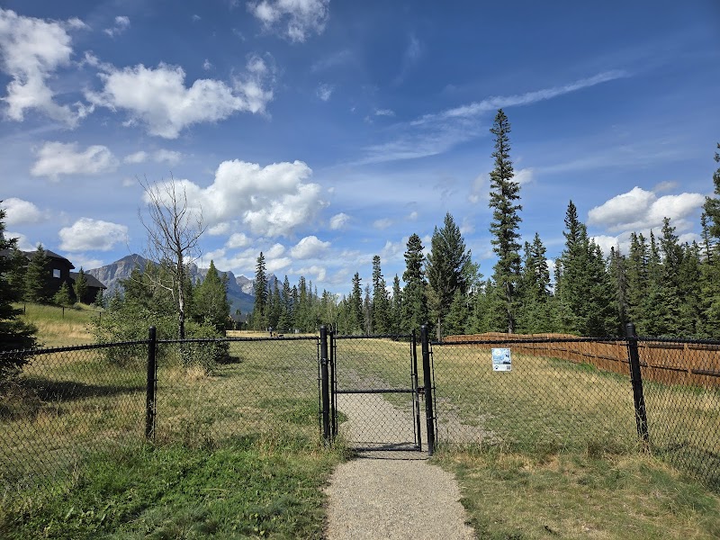 Hubman (Three sisters) off leash dog park dog park in Canmore, Alberta