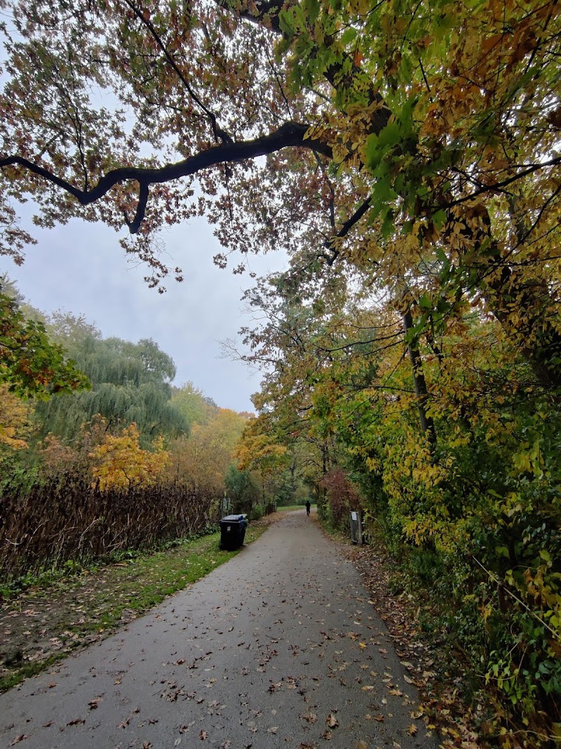 High Park Dog Off Leash Area dog park in Toronto, Ontario