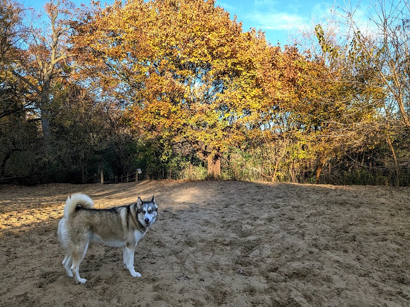 High Park Dog Off Leash Area dog park in Toronto, Ontario