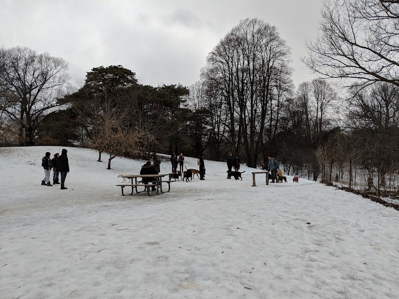 High Park Dog Off Leash Area dog park in Toronto, Ontario