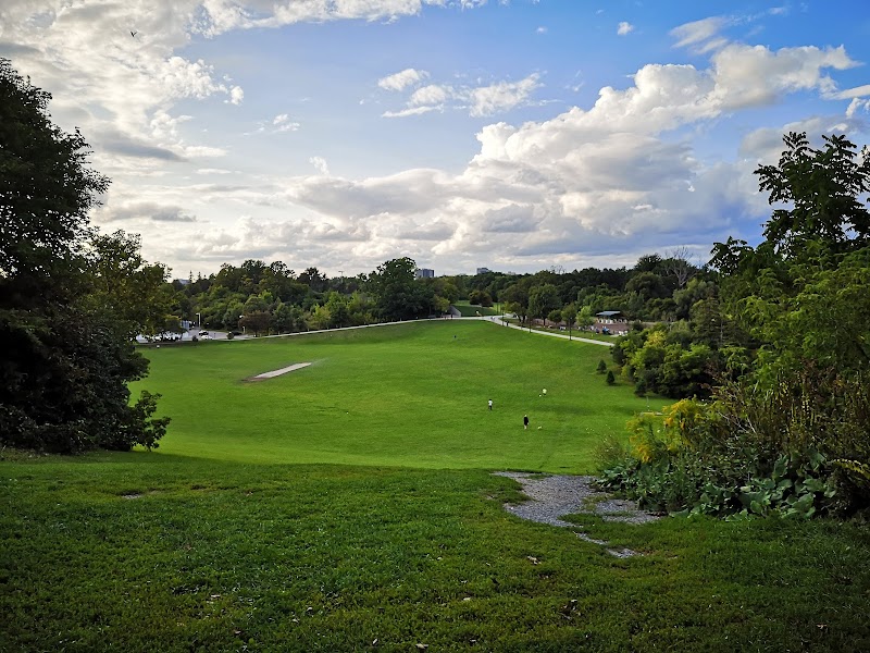 Cedarvale Park Dogs Off-Leash Area dog park in York, Ontario