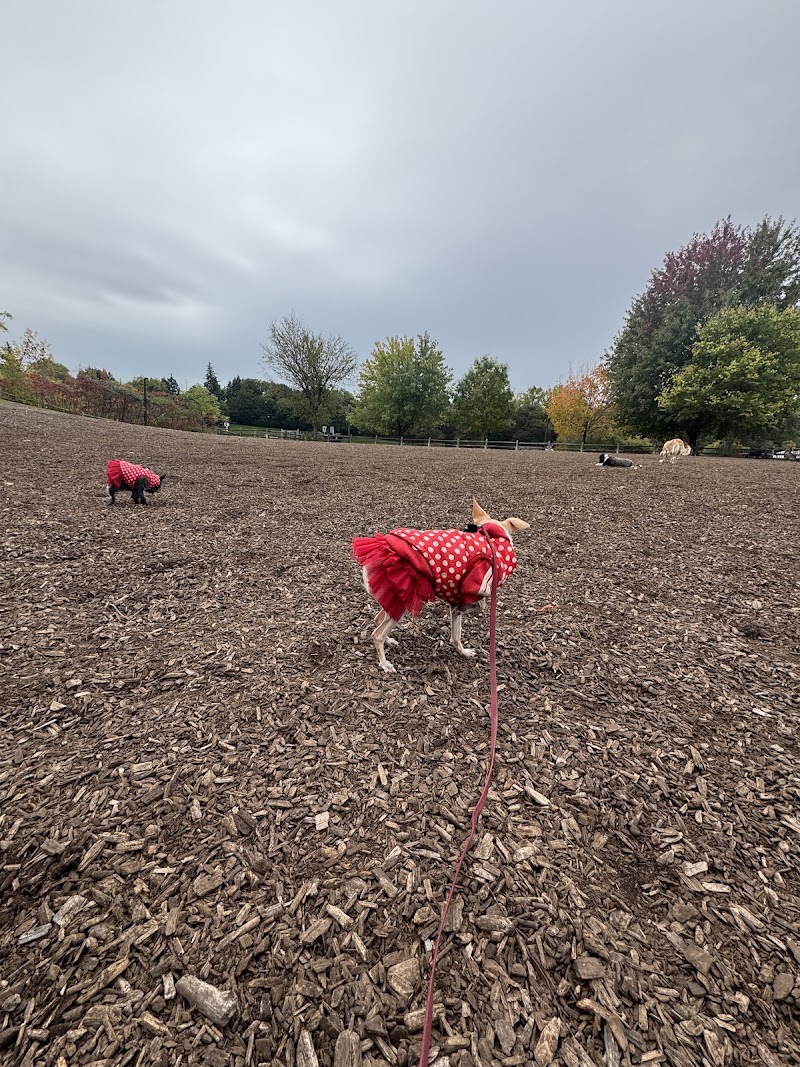Cedarvale Park Dogs Off-Leash Area dog park in York, Ontario