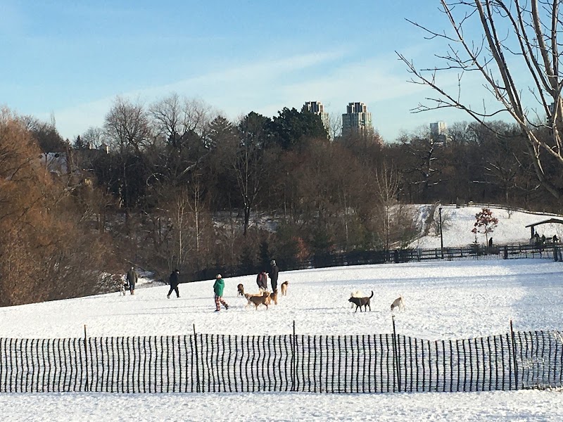 Cedarvale Park Dogs Off-Leash Area dog park in York, Ontario