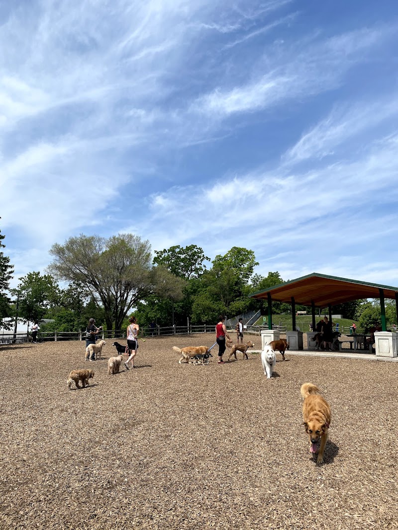 Cedarvale Park Dogs Off-Leash Area dog park in York, Ontario