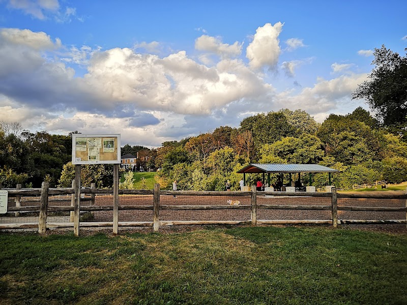 Cedarvale Park Dogs Off-Leash Area dog park in York, Ontario