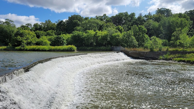 Raymore Park Dog Off Leash Area dog park in Etobicoke, Ontario