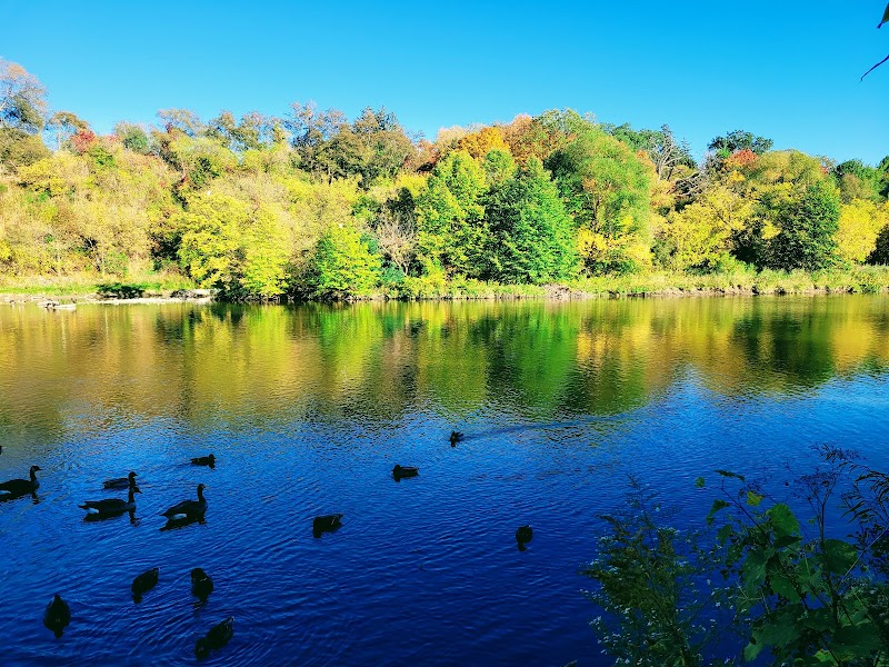 Raymore Park Dog Off Leash Area dog park in Etobicoke, Ontario