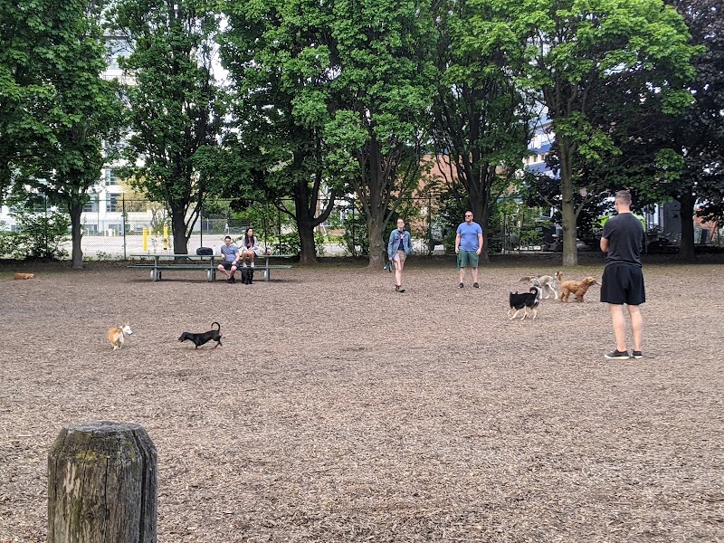 Coronation Dog Park dog park in Toronto, Ontario