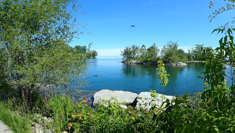 Humber Bay Park West Dog Park dog park in Etobicoke, Ontario