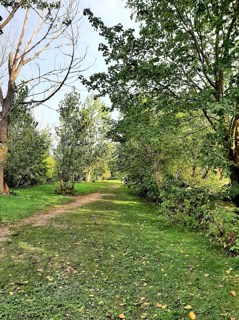 Humber Bay Park West Dog Park dog park in Etobicoke, Ontario