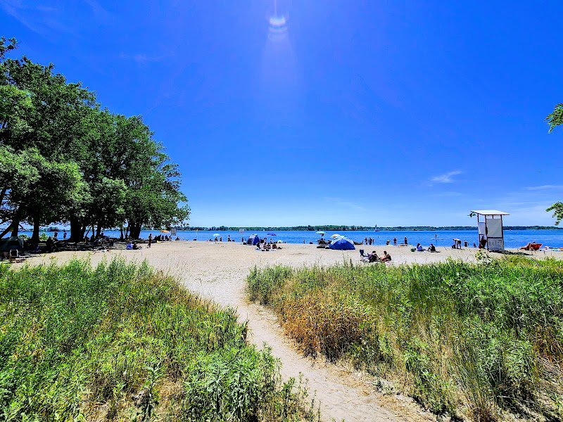 Cherry Beach Off Leash Dog Park dog park in Toronto, Ontario