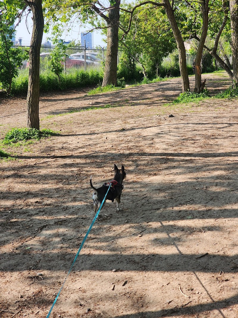 Cherry Beach Off Leash Dog Park dog park in Toronto, Ontario