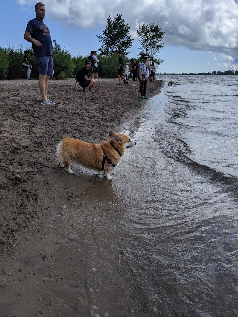 Cherry Beach Off Leash Dog Park dog park in Toronto, Ontario