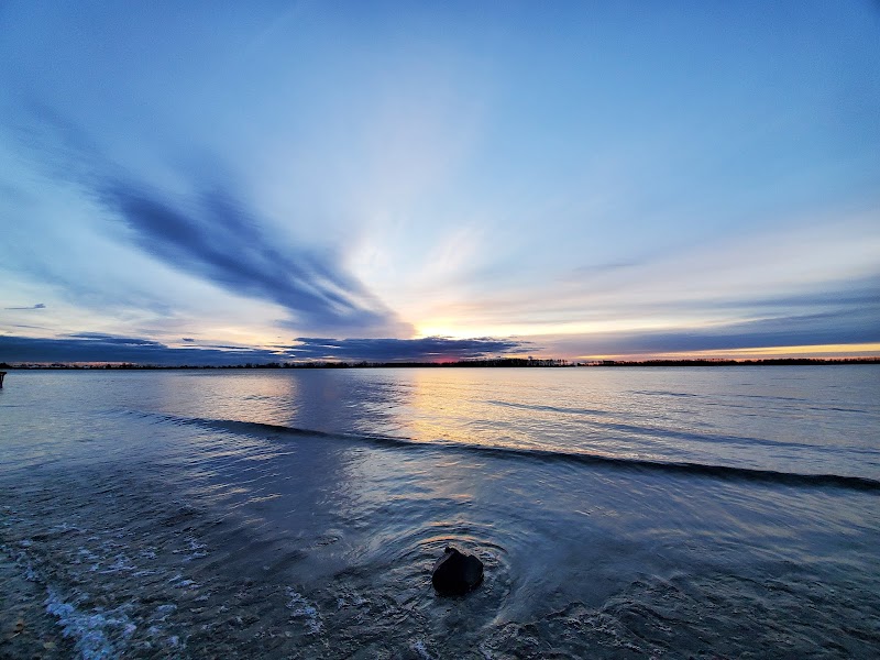 Cherry Beach Off Leash Dog Park dog park in Toronto, Ontario