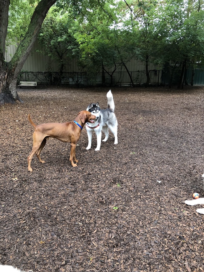 Yonge & York Mills Dog Park dog park in North York, Ontario