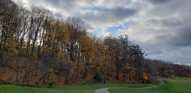 Yonge & York Mills Dog Park dog park in North York, Ontario