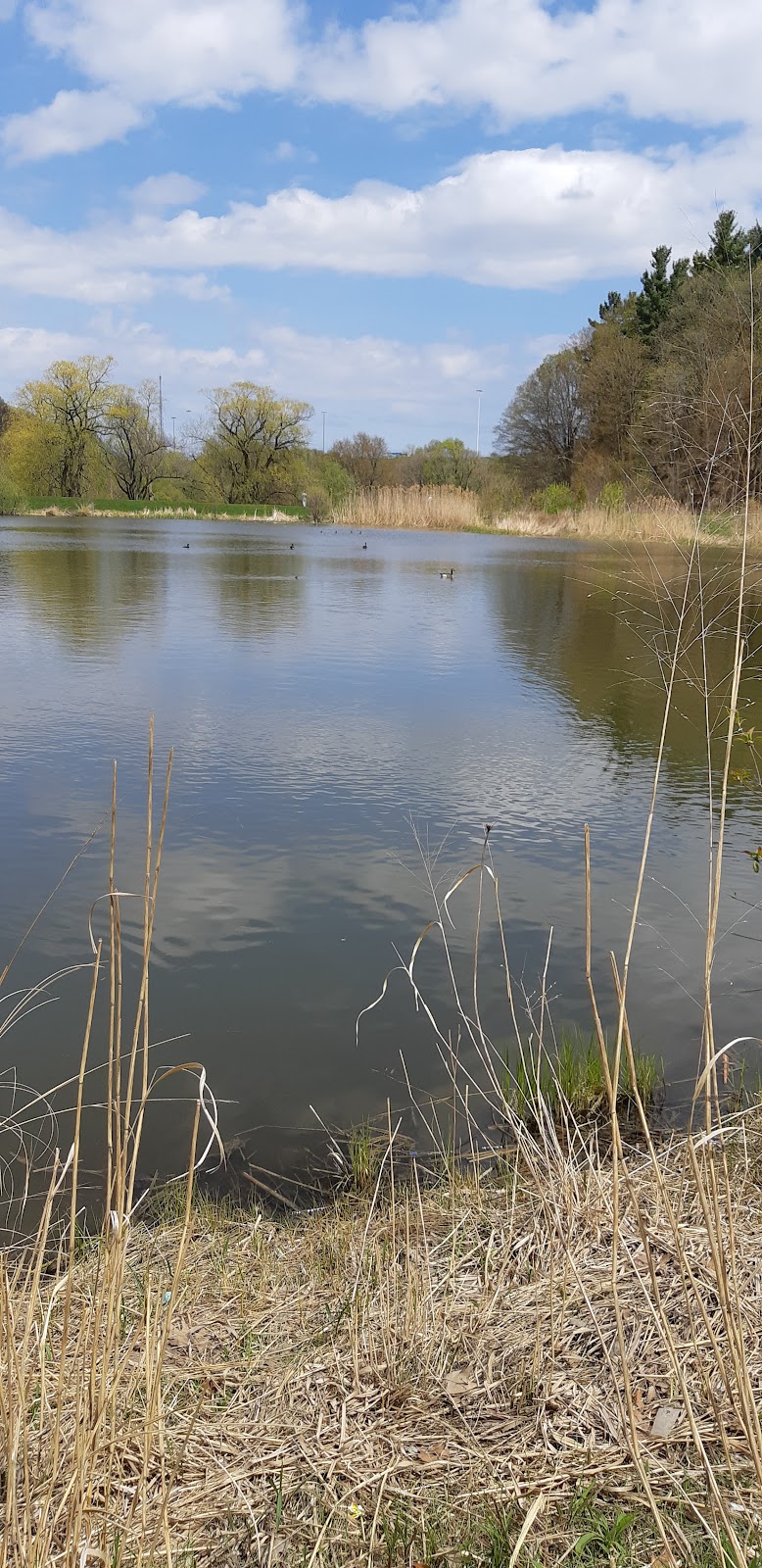 Yonge & York Mills Dog Park dog park in North York, Ontario