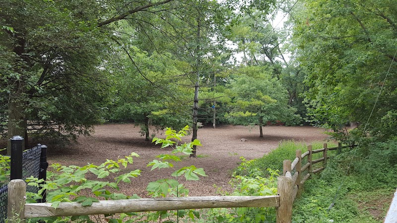 Yonge & York Mills Dog Park dog park in North York, Ontario