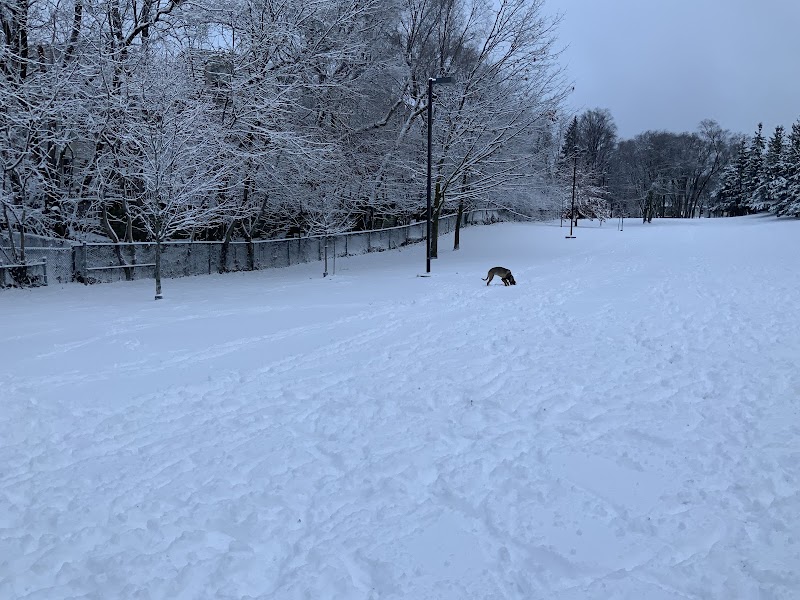 Pocket Designated Off-Leash Area dog park in Toronto, Ontario