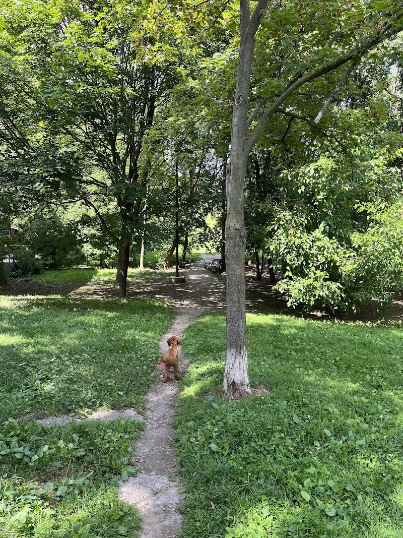 Pocket Designated Off-Leash Area dog park in Toronto, Ontario