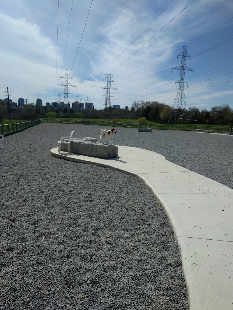 Willowdale Off-Leash Dog Park dog park in North York, Ontario