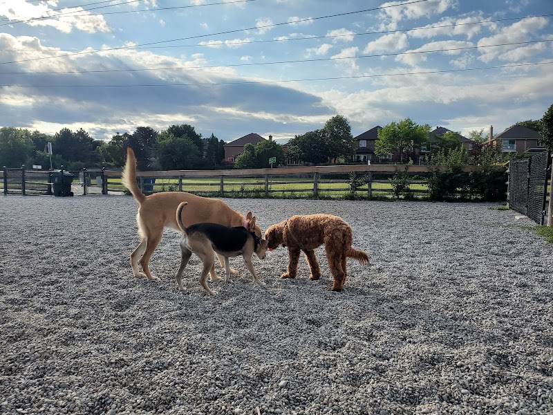 Willowdale Off-Leash Dog Park dog park in North York, Ontario