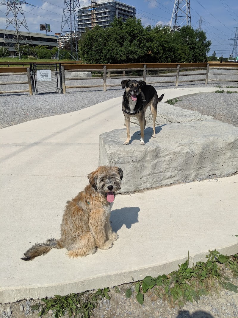 Willowdale Off-Leash Dog Park dog park in North York, Ontario