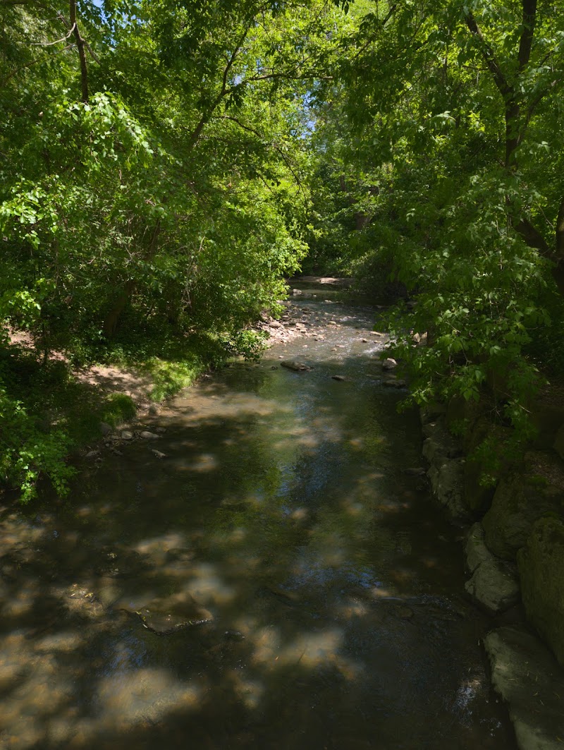 Taylor Creek Dog Park dog park in Toronto, Ontario