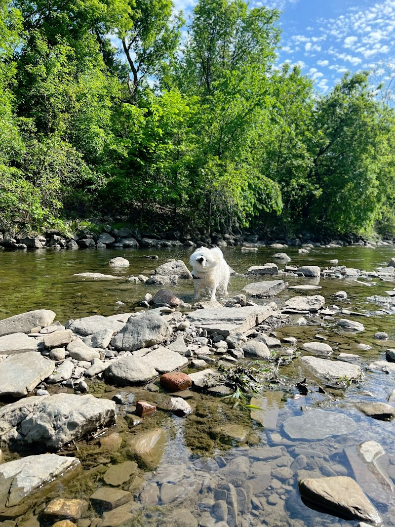 Etobicoke Creek Offleash Dog Park dog park in Mississauga, Ontario